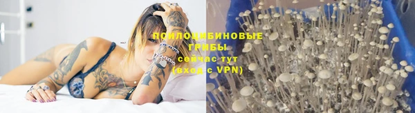 ГАЛЛЮЦИНОГЕННЫЕ ГРИБЫ Беломорск