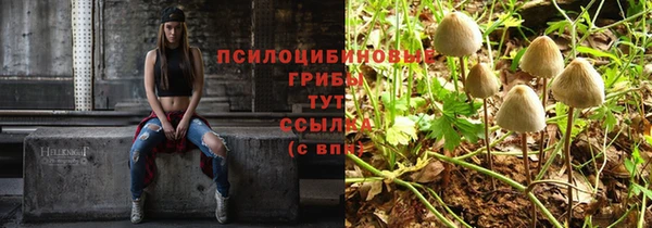 кокаин премиум Белокуриха