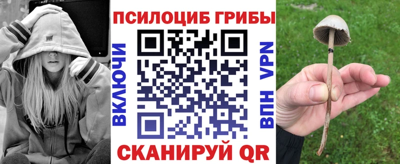 Галлюциногенные грибы Psilocybe  наркотики  Горно-Алтайск 