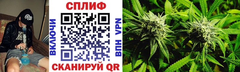 Бошки Шишки Ganja  цена наркотик  гидра маркетплейс  Горно-Алтайск 